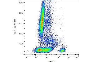 Flow cytometry analysis (surface staining) of human peripheral blood cells with anti-human CD40 (HI40a) PE. (CD40 antibody  (PE))