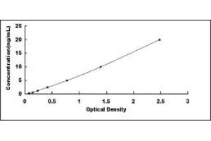 ELISA image for Transforming Growth Factor, beta Receptor 1 (TGFBR1) ELISA Kit (ABIN6960104)