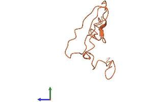 Protein Structure (PS) image for Keratin Associated Protein 7-1 (KRTAP7-1) (AA 1-87) protein (Fc Tag) (ABIN7560950)