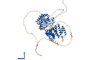 AlphaFold protein structure predicition of Human Recombinant ASPH Protein, UniprotID Q12797 (Aspartate beta Hydroxylase Protein (AA 1-758) (His tag))