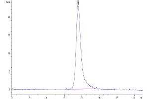 The purity of Biotinylated Human LILRA2 is greater than 95 % as determined by SEC-HPLC. (LILRA2 Protein (AA 24-449) (His-Avi Tag,Biotin))