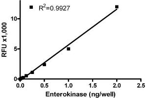 ELISA image for SensoLyte® Rh110 Enterokinase Assay Kit (ABIN1882457) (SensoLyte® Rh110 Enterokinase Assay Kit)