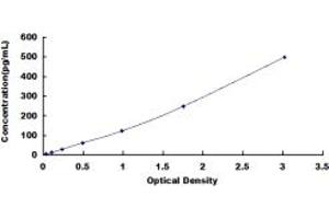 Typical standard curve (FGF10 ELISA Kit)