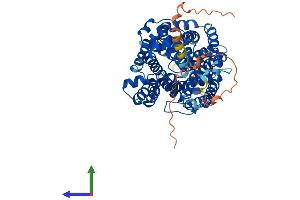 Protein Structure (PS) image for Solute Carrier Family 6 (Neurotransmitter Transporter, Creatine), Member 8 (SLC6A8) (AA 1-635) protein (His tag) (ABIN7551729)