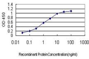 Detection limit for recombinant GST tagged CDX4 is approximately 0. (CDX4 antibody  (AA 71-170))
