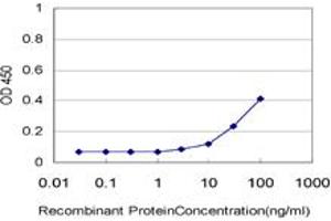 Detection limit for recombinant GST tagged PNPLA2 is approximately 3ng/ml as a capture antibody. (PNPLA2 antibody  (AA 347-446))