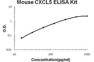Mouse CXCL5/ENA-78 PicoKine ELISA Kit standard curve