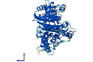 AlphaFold protein structure predicition of Human Recombinant TUBAL3 Protein, UniprotID A6NHL2 (TUBAL3 Protein (AA 1-446) (His tag))