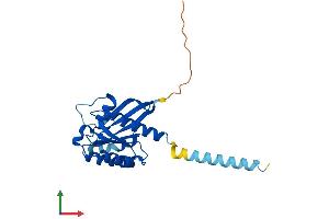 AlphaFold protein structure predicition of Human Recombinant RIT2 Protein, UniprotID Q99578