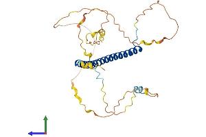 AlphaFold protein structure predicition of Mouse Recombinant Cebpb Protein, UniprotID P28033