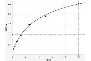 Insulin-Like 3 (Leydig Cell) (INSL3) ELISA Kit