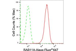 Flow cytometric analysis of RAB11A expression in HAP-1 cells using RAB11A antibody (ABIN7800089), 1:2,000). (Recombinant RAB11A antibody)
