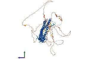 AlphaFold protein structure predicition of Mouse Recombinant Amph Protein, UniprotID Q7TQF7
