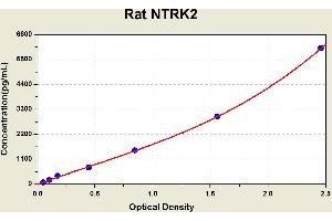 Diagramm of the ELISA kit to detect Rat NTRK2with the optical density on the x-axis and the concentration on the y-axis. (TRKB ELISA Kit)