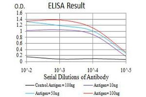 Fig. (Histone Cluster 2, H4a (HIST2H4A) antibody)