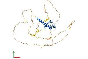 AlphaFold protein structure predicition of Mouse Recombinant Hoxc10 Protein, UniprotID P31257 (HOXC10 Protein (AA 1-342) (His tag))