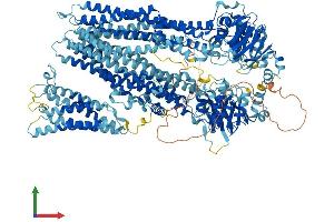 Protein Structure (PS) image for ATP-Binding Cassette, Sub-Family C (CFTR/MRP), Member 1 (ABCC1) (AA 1-1531) protein (His tag) (ABIN7554614)
