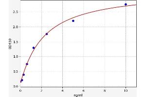 Typical standard curve (2B4 ELISA Kit)