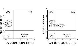 Flow Cytometry (FACS) image for anti-CD40 Ligand (CD40LG) antibody (FITC) (ABIN370946) (CD40 Ligand antibody  (FITC))