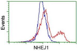 HEK293T cells transfected with either RC203393 overexpress plasmid (Red) or empty vector control plasmid (Blue) were immunostained by anti-NHEJ1 antibody (ABIN2453928), and then analyzed by flow cytometry. (NHEJ1 antibody)