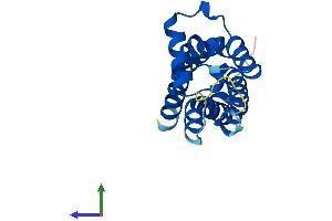 AlphaFold protein structure predicition of Mouse Recombinant Tmem97 Protein, UniprotID Q8VD00 (TMEM97 Protein (AA 1-176) (His tag))