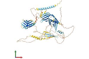 AlphaFold protein structure predicition of Human Recombinant C2CD2L Protein, UniprotID O14523 (C2CD2L Protein (AA 1-706) (His tag))