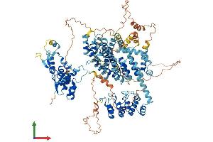 AlphaFold protein structure predicition of Mouse Recombinant Slf1 Protein, UniprotID Q8R3P9 (ANKRD32 Protein (AA 1-1054) (His tag))