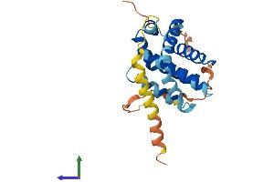 AlphaFold protein structure predicition of Mouse Recombinant Bcl2 Protein, UniprotID P10417 (Bcl-2 Protein (AA 1-236) (His tag))