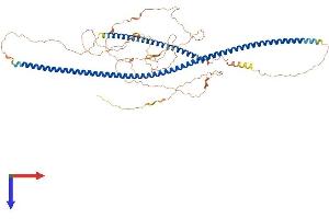 AlphaFold protein structure predicition of Mouse Recombinant Lzts3 Protein, UniprotID A2AHG0