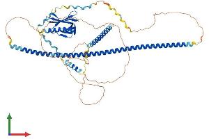 AlphaFold protein structure predicition of Human Recombinant ENAH Protein, UniprotID Q8N8S7