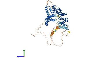 AlphaFold protein structure predicition of Mouse Recombinant Klc2 Protein, UniprotID O88448 (KLC2 Protein (AA 1-599) (His tag))