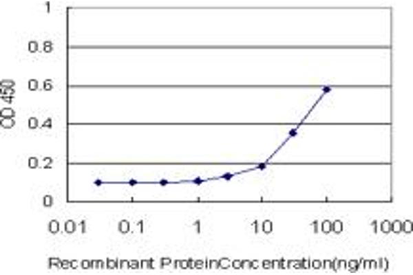 ZNF611 antibody  (AA 1-151)