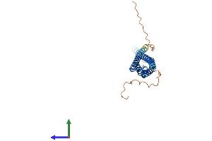 AlphaFold protein structure predicition of Mouse Recombinant Ms4a6b Protein, UniprotID Q99N09 (Ms4a6b Protein (AA 1-244) (His tag))