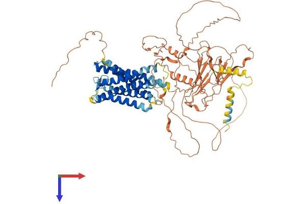 GPR149 Protein (AA 1-732) (His tag)