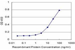 Detection limit for recombinant GST tagged PRDM1 is approximately 1ng/ml as a capture antibody. (PRDM1 antibody  (AA 1-109))