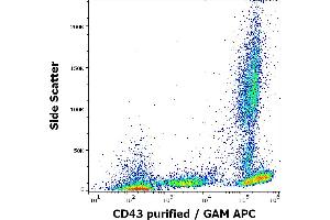 Flow cytometry surface staining pattern of human peripheral blood stained using anti-human CD43 (MEM-59) purified antibody (concentration in sample 2 μg/mL, GAM APC).