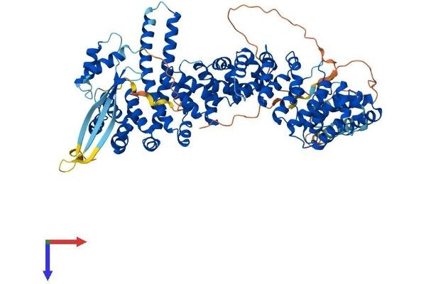 KIFAP3 Protein (AA 1-792) (His tag)