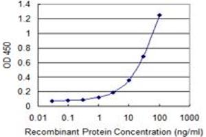 Detection limit for recombinant GST tagged GAL3ST1 is 0. (GAL3ST1 antibody  (AA 324-423))