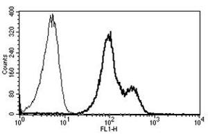 Flow Cytometry (FACS) image for anti-Integrin alpha-L (ITGAL) antibody (FITC) (ABIN1105774) (ITGAL antibody  (FITC))