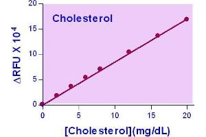 Biochemical Assay (BCA) image for AF Cholesterol Assay Kit (ABIN1000281) (AF Cholesterol Assay Kit)