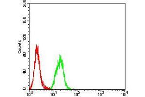 Flow cytometric analysis of Hela cells using SYK mouse mAb (green) and negative control (red). (SYK antibody  (AA 217-356))