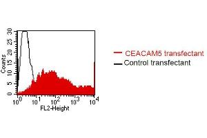 FACS analysis of BOSC23 cells using 26/3/13. (CEACAM5 antibody)