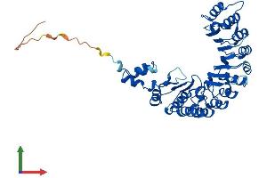 AlphaFold protein structure predicition of Mouse Recombinant Fbxl3 Protein, UniprotID Q8C4V4