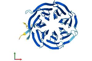AlphaFold protein structure predicition of Human Recombinant RACK1 Protein, UniprotID P63244 (GNB2L1 Protein (AA 1-317) (His tag))