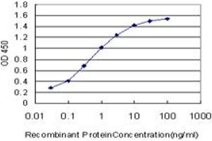 Detection limit for recombinant GST tagged BLR1 is approximately 0. (CXCR5 antibody  (AA 1-55))