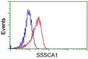 Image no. 2 for anti-Sjogren Syndrome/scleroderma Autoantigen 1 (SSSCA1) antibody (ABIN1501155) (SSSCA1 antibody)