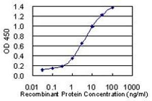 Detection limit for recombinant GST tagged LOC285141 is 0. (ERICH2 antibody  (AA 1-156))