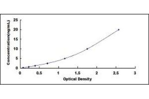 ELISA image for Cytochrome P450, Family 3, Subfamily A, Polypeptide 4 (CYP3A4) ELISA Kit (ABIN418989)