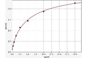 Typical standard curve (alpha-L-Fucosidase (Fuca) ELISA Kit)