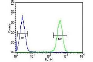 HDAC2 antibody flow cytometric analysis of K562 cells (right histogram) compared to a negative control (left histogram).